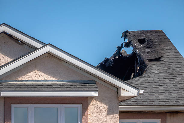 Top rated local Firefighting Water Removal specialists in Kirkland, WA